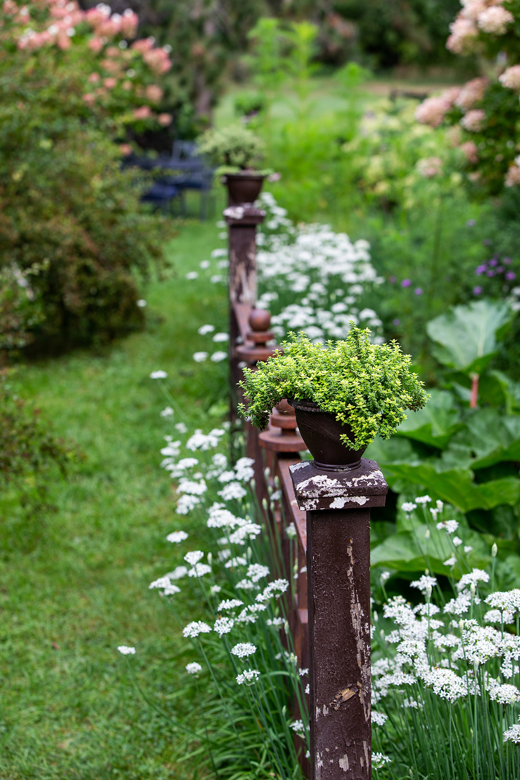 Featured Wedding at Camrose Hill in Stillwater, MN